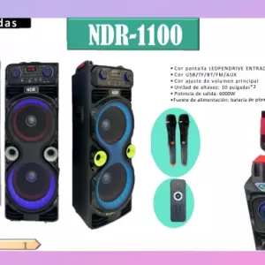 NDR-1100