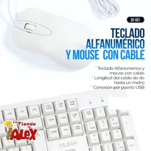 TECLADO ALFANUMERICO Y MOUSE CON CABLE