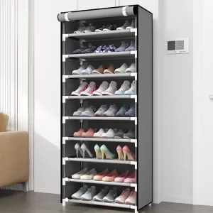 Organizador zapato