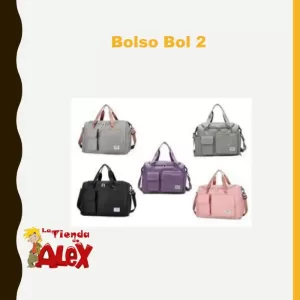 Bolso Bol 2