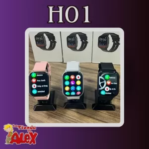 H01