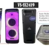 VS-SS2419