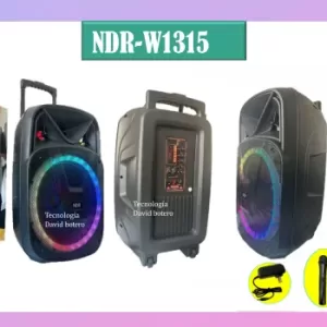 NDR-W1315