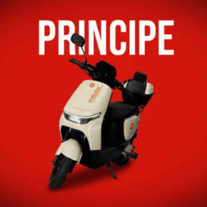 PRINCIPE EB16
